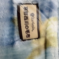 【未使用】京都西川ミンク毛布　シングルサイズ　0119-01の画像