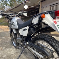 スズキ　ジェベル200実動中古車　自賠責付き
の画像