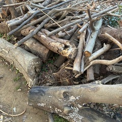 薪　マキ　まき　焚き火　バーベキュー　キャンプなどに　好きなだけ持って行ってくださいの画像
