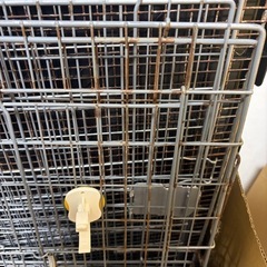 デグー　ケージやフード等の画像