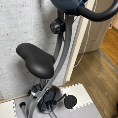 4つおまとめ　懸垂バー　ブルブルマシン　ニトリタイルカーペット　エアロバイクの画像