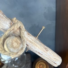 ディスプレイラダーの画像