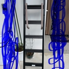 二段ベットのハシゴの画像