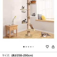 キャットタワー　の画像