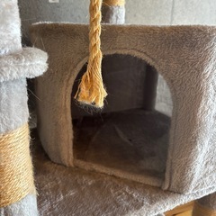 キャットタワーの画像