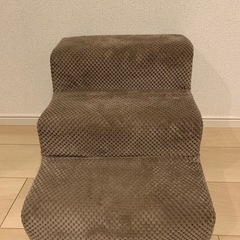 ペットスロープの画像