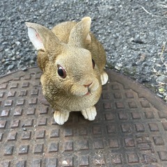 取引完了　499の画像