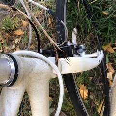 GIANT女性用クロスバイクの画像