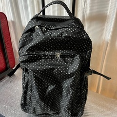 黒・ドット柄キャリーケースの画像