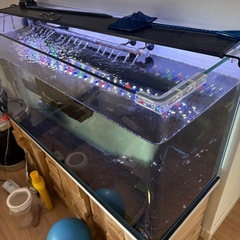 極美品　総額12万円90㎝曲げガラス水槽セットの画像