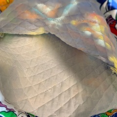 ポケモン　レッスンバッグ　上靴袋セットの画像