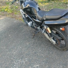 カワサキ　バリオス2型の画像