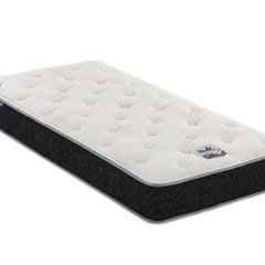 未使用 フランスベッド SL-1000N ダブルサイズ (売買屋.com) 札幌の