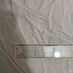 中古 冬掛け 掛け布団 シングル シミあり  の画像