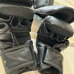 VENUM　総合格闘技　レガース　グローブの画像
