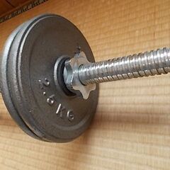 Ｗバー／16kgのセットの画像