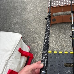 ベイトロッド　ビッグベイト
の画像