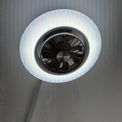 『受渡者決定済』シーリングファンライトの画像