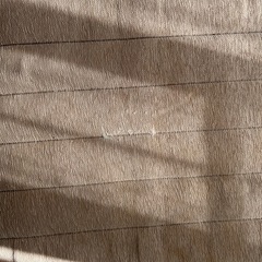 【引き取り者決定】フランスベッド　脚付きマットレス　　　　　の画像