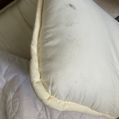 ニトリ敷布団セミダブル【近日処分】の画像