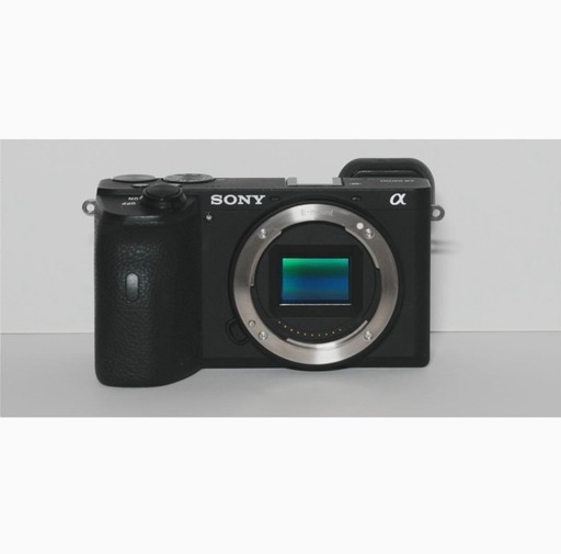 SONY a6600 カメラ ILCE-6600