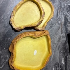 商談中　爬虫類　エサ皿　の画像