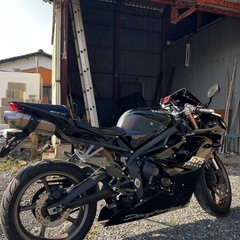 デイトナ 675　　の画像