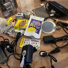 熱帯魚　飼育の画像