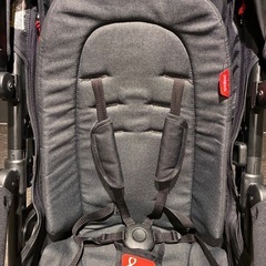 フィルアンドテッズ Dot V6 2人乗りベビーカーの画像