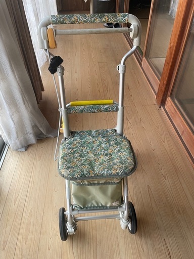 トレーニングカ-手押し車
