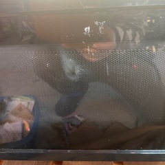 電子レンジの画像