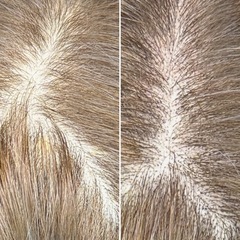 【モニター募集】SMPのデザイン技術向上にご協力いただける方（男女）