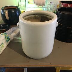 白い火鉢の画像