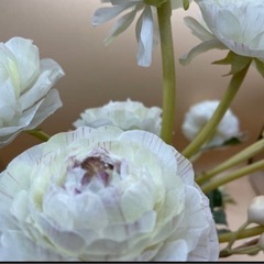 エミリオロバ高級造花アートフラワー白ラナンキュラスの画像