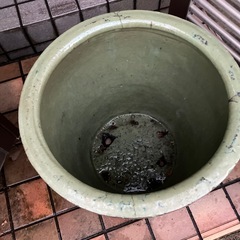 瓶の鉢カバーの画像