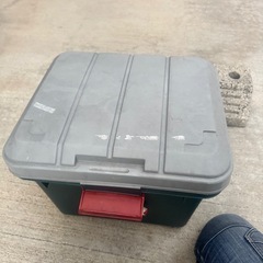 サンダーの画像