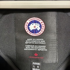 カナダグースの画像