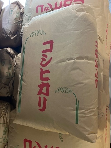 コシヒカリ 玄米30キロ 農家直送 令和7年収穫 新米