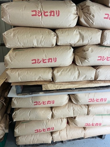 コシヒカリ 玄米30キロ 農家直送 令和7年収穫 新米