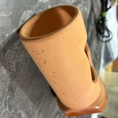 爬虫類　シェルター　の画像