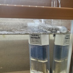 30センチ水槽の画像