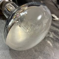 爬虫類　ヒーター　ランプ　の画像