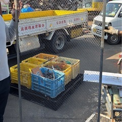 縦180センチくらいの鉄の足場？の画像