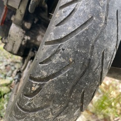 ライブディオの画像