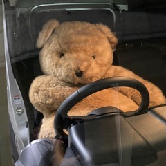 クマのぬいぐるみの画像