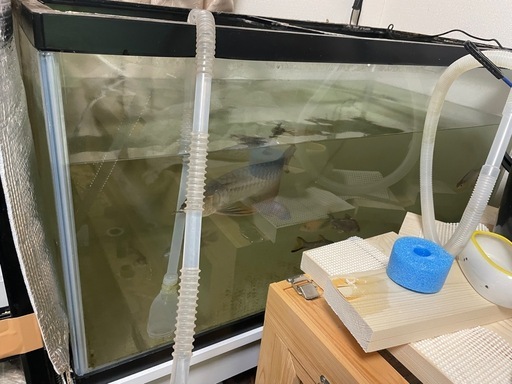 上部フィルターグランデ 900 GEX 2個➕90cm水槽