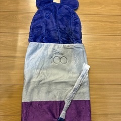 ミッキー、ポンチョ、ブランケットの画像