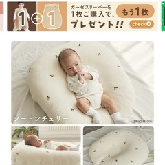 ロトトクッションの画像