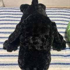 ぬいぐるみの画像