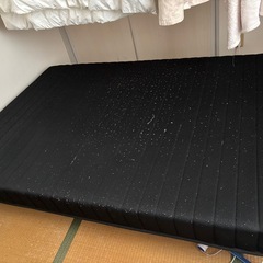 ダブルベットの画像